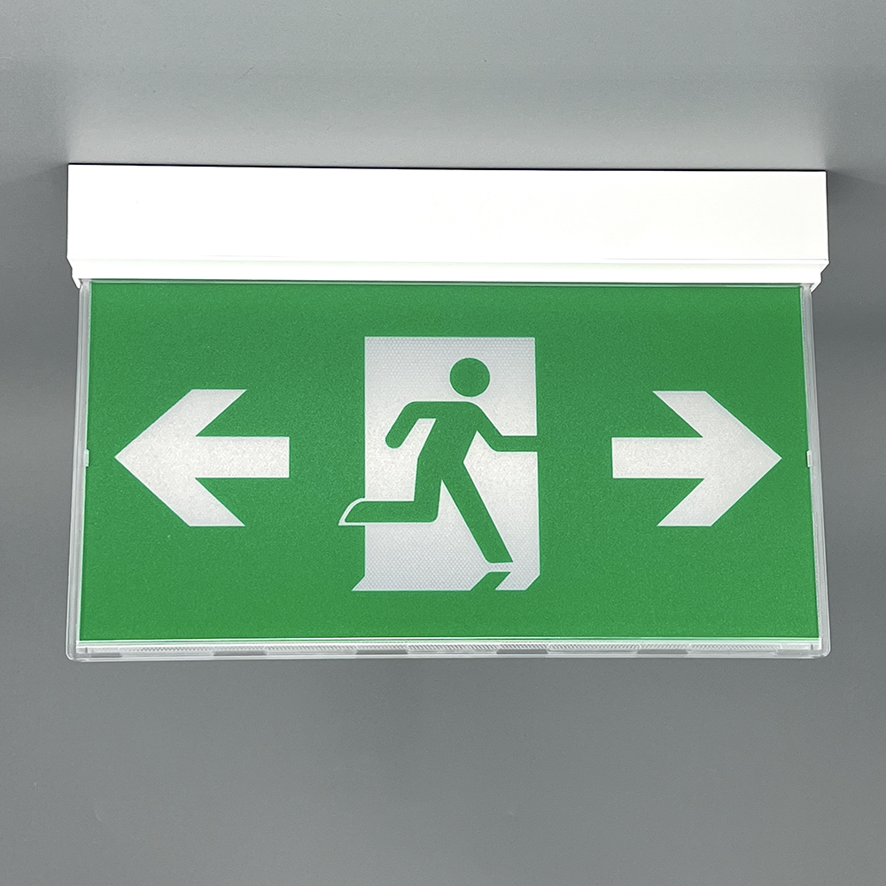 Световой указатель (аварийный светильник)